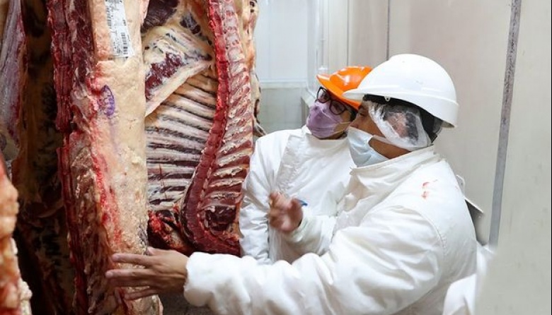 Exportación de carne: Argentina vuelve a quedar afuera del top 5 global