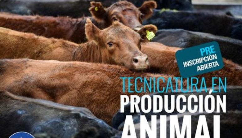 Preinscripción a la Tecnicatura en Producción Animal
