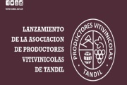 Con apoyo oficial, Tandil ya cuenta con su Asociación de Productores Vitivinícolas